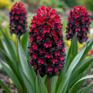 Гиацинт Джем Стоун купить по цене от 2099р. в интернет-магазине «Посадика» с доставкой почтой в в Жирновске и по всей России – [изображение №1].