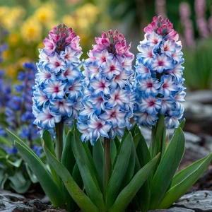 Гиацинт Пинк Мари купить по цене от 2099р. в интернет-магазине «Посадика» с доставкой почтой в в Жирновске и по всей России – [изображение №1].