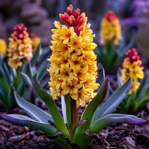 Гиацинт Миднайт Мистери купить по цене от 2099р. в интернет-магазине «Посадика» с доставкой почтой в в Жирновске и по всей России – [изображение №1].