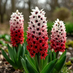 Гиацинт Скай Гарден купить по цене от 2099р. в интернет-магазине «Посадика» с доставкой почтой в в Жирновске и по всей России – [изображение №1].